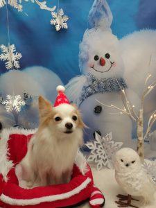 20251201_185110_copy_2160x2880