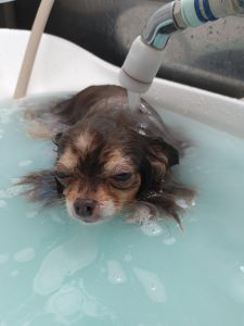 20251202_084950_copy_2046x2728