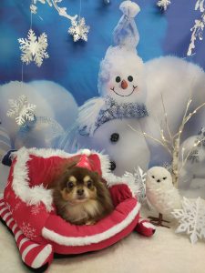 20251202_100037_copy_3000x4000