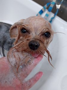 20251202_102802_copy_2700x3600_1