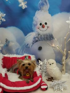 20251202_121806_copy_2154x2871