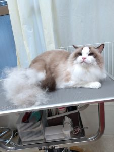 20251202_135107_copy_2679x3572