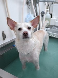 20251202_155147_copy_1944x2592