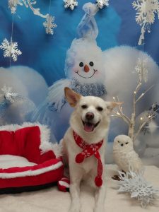 20251202_163327_copy_1834x2444