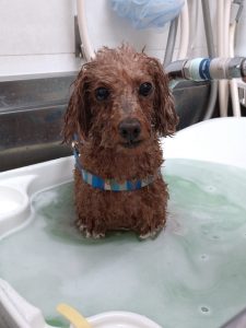 20251202_165721_copy_2044x2724