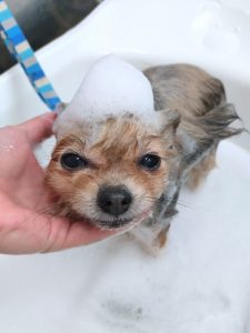 20251204_090428_copy_2700x3600_1