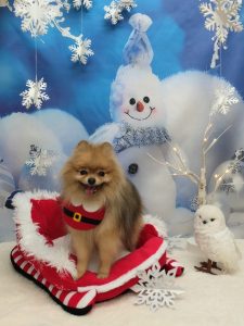 20251204_101344_copy_2014x2684~2_copy_2358x3143