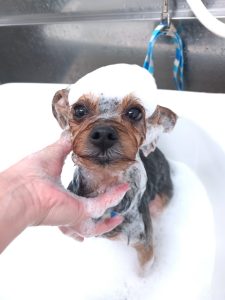 20251204_104141(1)_copy_2700x3600_1