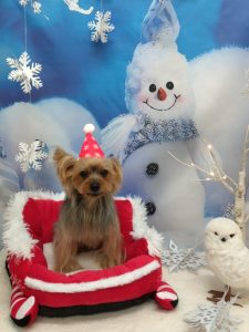 20251204_114956_copy_1962x2614