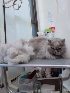 20251204_123052_copy_2676x3568