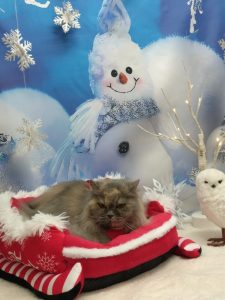 20251204_140324_copy_1820x2424