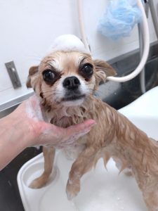 20251204_143443_copy_2514x3352