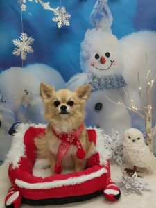 20251204_155033_copy_2082x2776_1