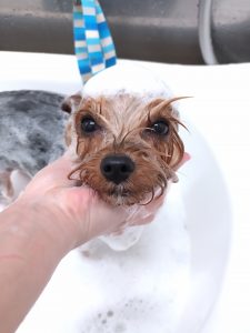 20251204_162425_copy_3480x4637