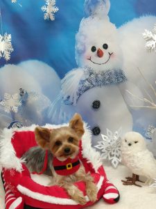 20251204_173406_copy_1848x2462_1