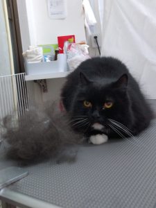 20251204_185016_copy_1944x2592_1