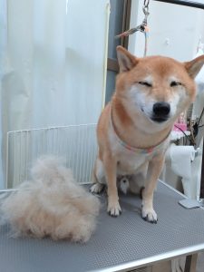 20251205_090007_copy_2495x3326