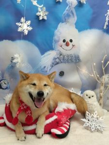 20251205_101216_copy_1968x2624