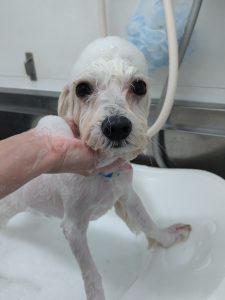 20251205_122836_copy_2400x3200