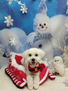 20251205_141327_copy_1944x2592