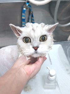 20251205_155948_copy_2511x3348_1