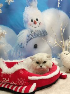 20251205_170539(1)_copy_1914x2552