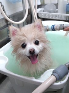 20251205_180440_copy_2006x2672