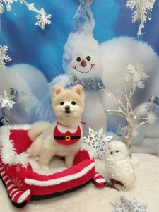 20251205_193446~2_copy_2094x2792