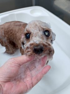 20251206_102416_copy_4790x6389