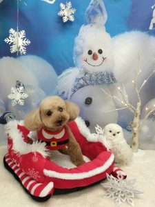 20251206_121043_copy_2075x2766