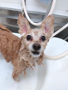 20251206_131259_copy_3388x4518