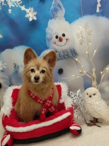 20251206_145801_copy_2157x2876