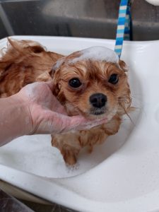 20251206_151325_copy_2441x3255_1