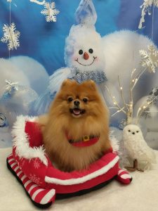 20251206_155922_copy_2077x2769