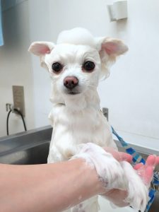 20251206_173533_copy_2539x3386