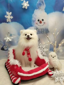 20251206_184118_copy_2154x2871