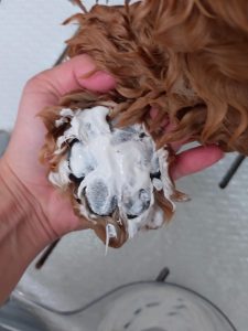 20251208_103634_copy_2705x3606