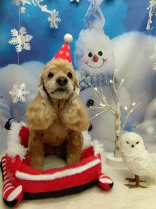 20251208_124211_copy_1984x2646