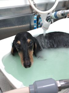 20251208_131619_copy_2056x2742