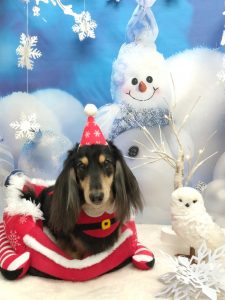 20251208_141049_copy_2016x2688