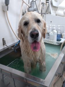 20251208_143802_copy_2012x2682