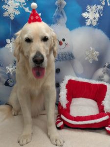 20251208_153453_copy_1824x2432