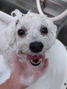 20251208_161922_copy_2700x3600_1