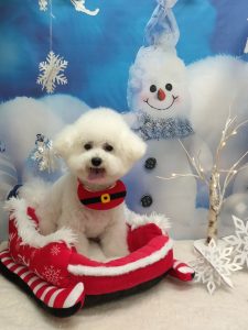 20251208_170124_copy_2092x2788