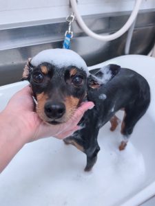 20251208_171228_copy_3021x4028