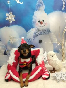 20251208_174918_copy_2046x2726