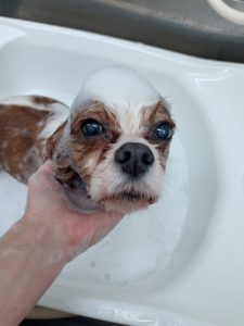 20251209_095004_copy_2700x3600_1