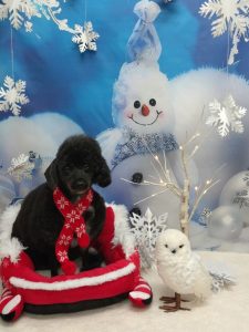 20251209_144944_copy_2041x2720