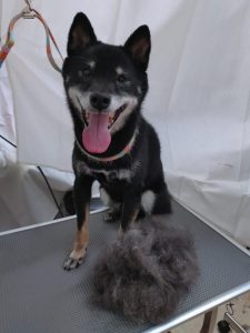 20251209_154644_copy_2775x3700_1