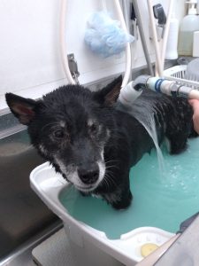 20251209_160110_copy_2086x2780